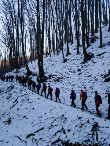 Šetnja u spomen na Marka Stanojevića